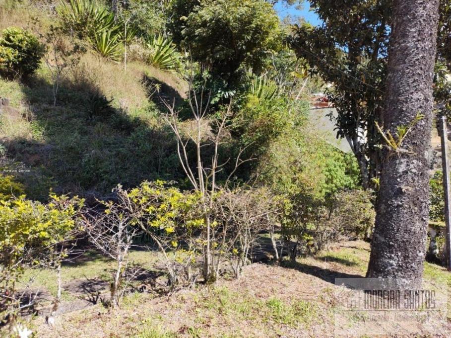 Casa à venda com 4 quartos, 3200m² - Foto 5